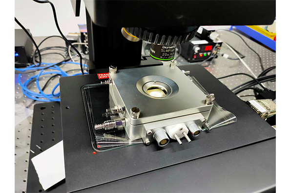 拉曼测试冷热台在材料研究中应用